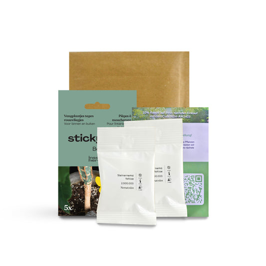 Duo Deal gegen Trauermücken