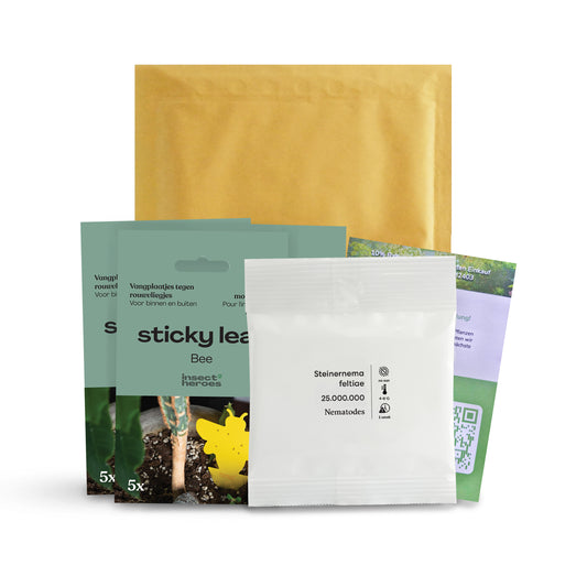 Mega Deal gegen Trauermücken