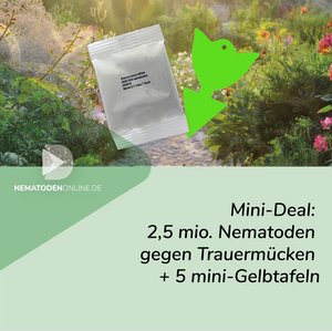 Mini Deal: 2,5 Mio. Steinernema feltiae Nematoden und 5 Mini-Gelbtafeln gegen Trauermücken