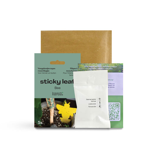 Mini Deal gegen Trauermücken