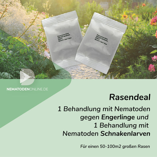 Rasendeal: Behandlung gegen Engerlinge und Schnakenarven: 25 Mio. SC+ 50 Mio. Hb Nematoden