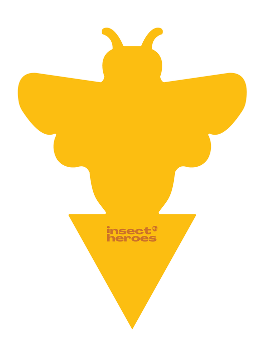 5 Mini-Gelbtafeln gegen Trauermücken und Thripse