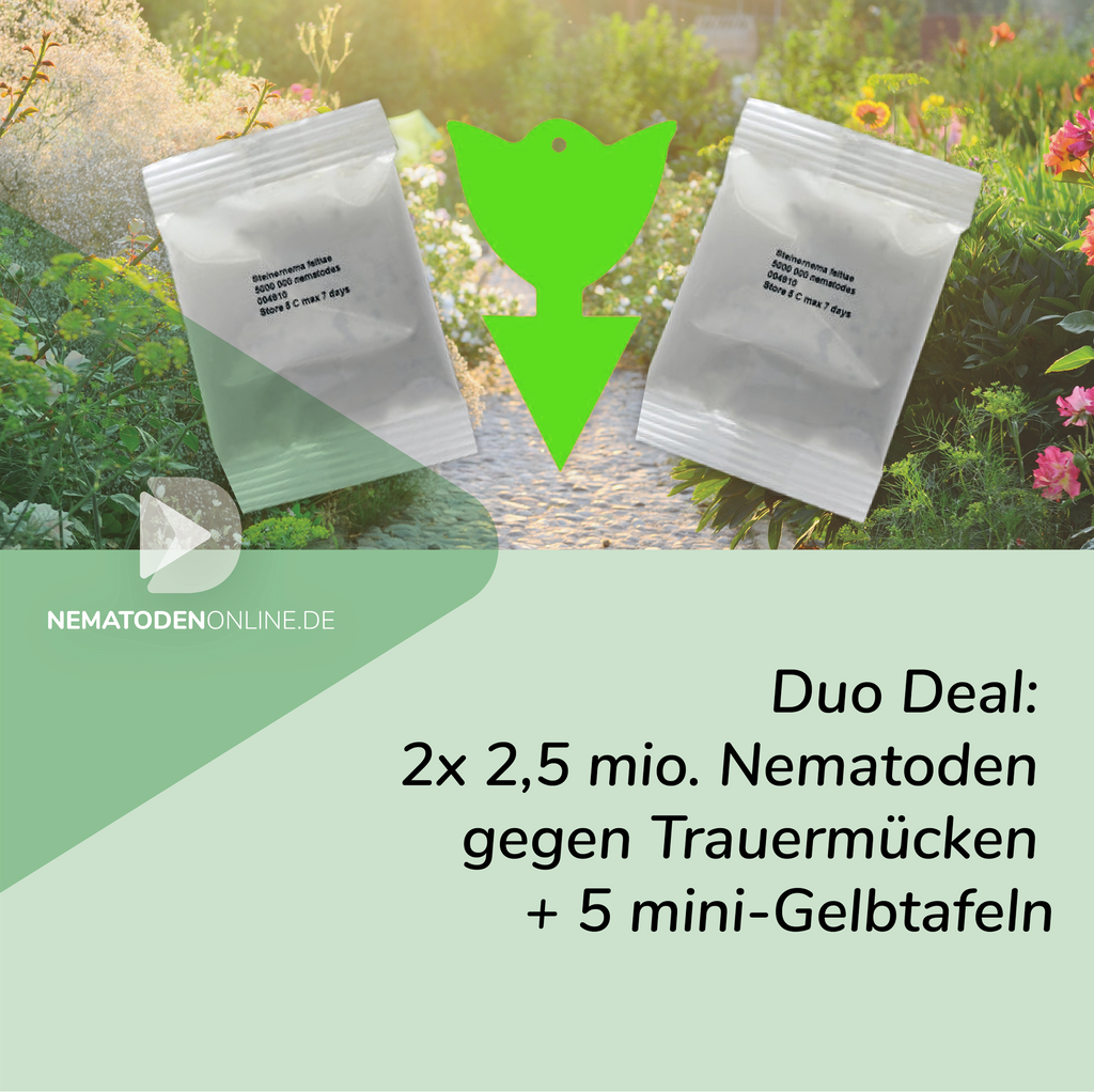 Duo Deal: 2 x 2,5 Mio. Steinernema feltiae Nematoden und 5 Mini-Gelbtafeln gegen Trauermücken