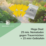 Mega Deal: 25 Mio. Steinernema feltiae Nematoden und 15 Mini-Gelbtafeln gegen Trauermücken
