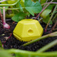 Limax Trap – Schneckenfalle