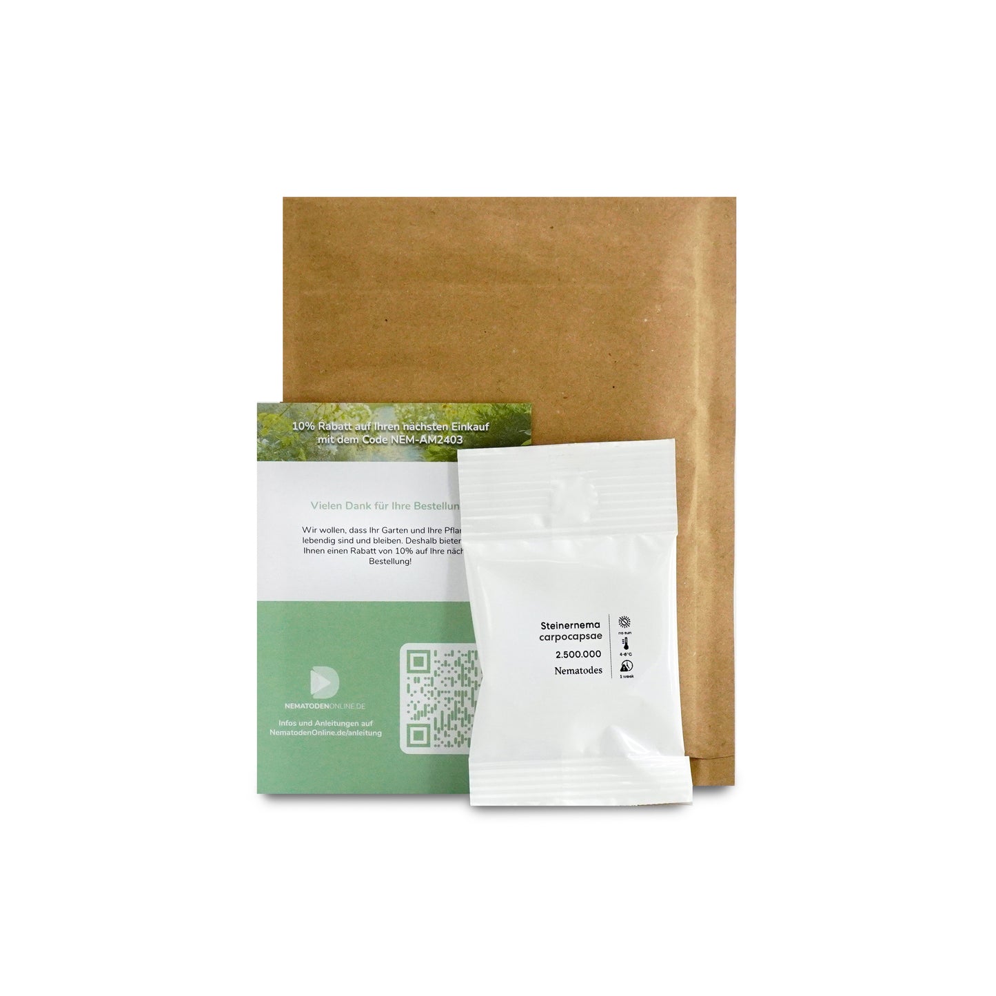 Steinernema carpocapsae