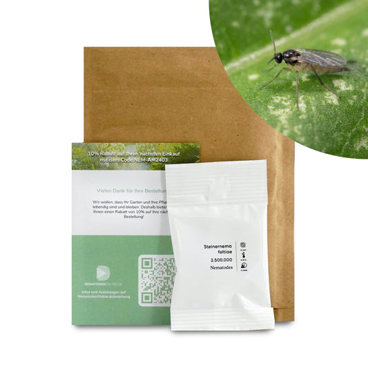 Nematoden gegen Trauermücken (Steinernema feltiae)