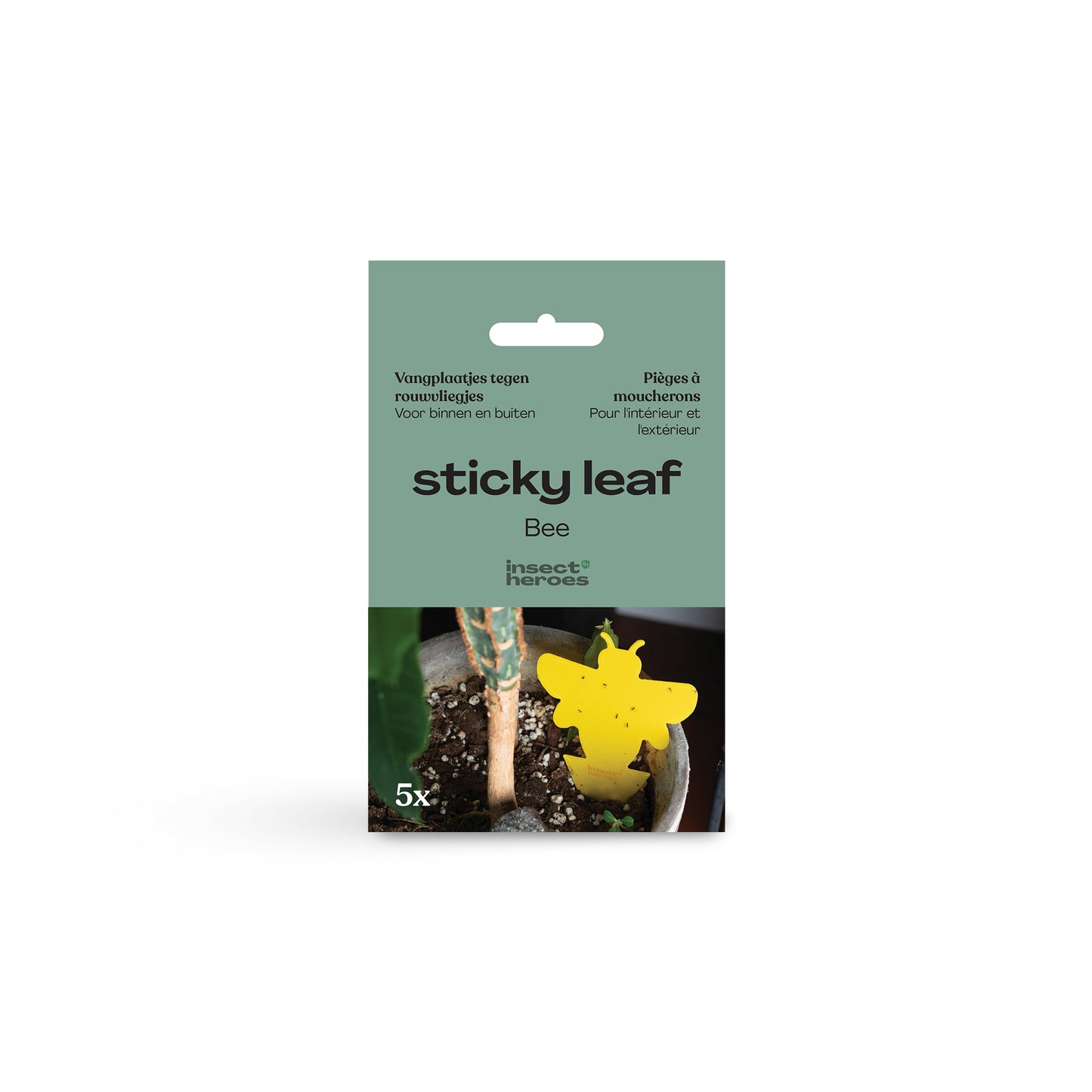 5 Mini-Gelbtafeln gegen Trauermücken und Thripse