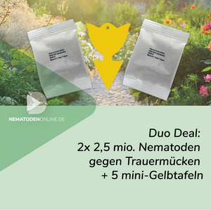 Duo Deal: 2 x 2,5 Mio. Steinernema feltiae Nematoden und 5 Mini-Gelbtafeln gegen Trauermücken