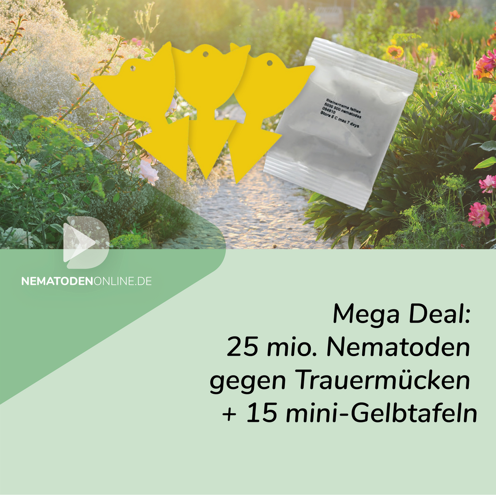 Mega Deal: 25 Mio. Steinernema feltiae Nematoden und 15 Mini-Gelbtafeln gegen Trauermücken